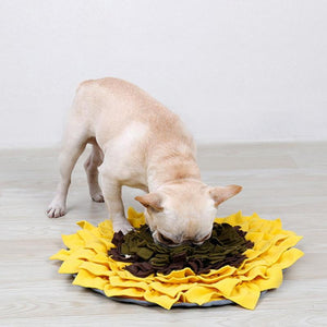 Interactive Dog Pads